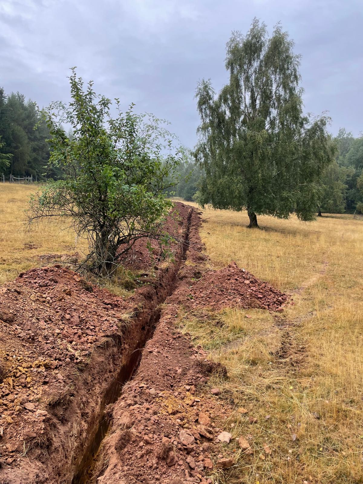 Výkopové práce v lesním terénu